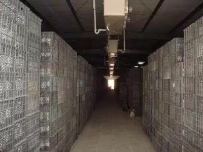 西安多宝网页版登录入口_多宝（中国）